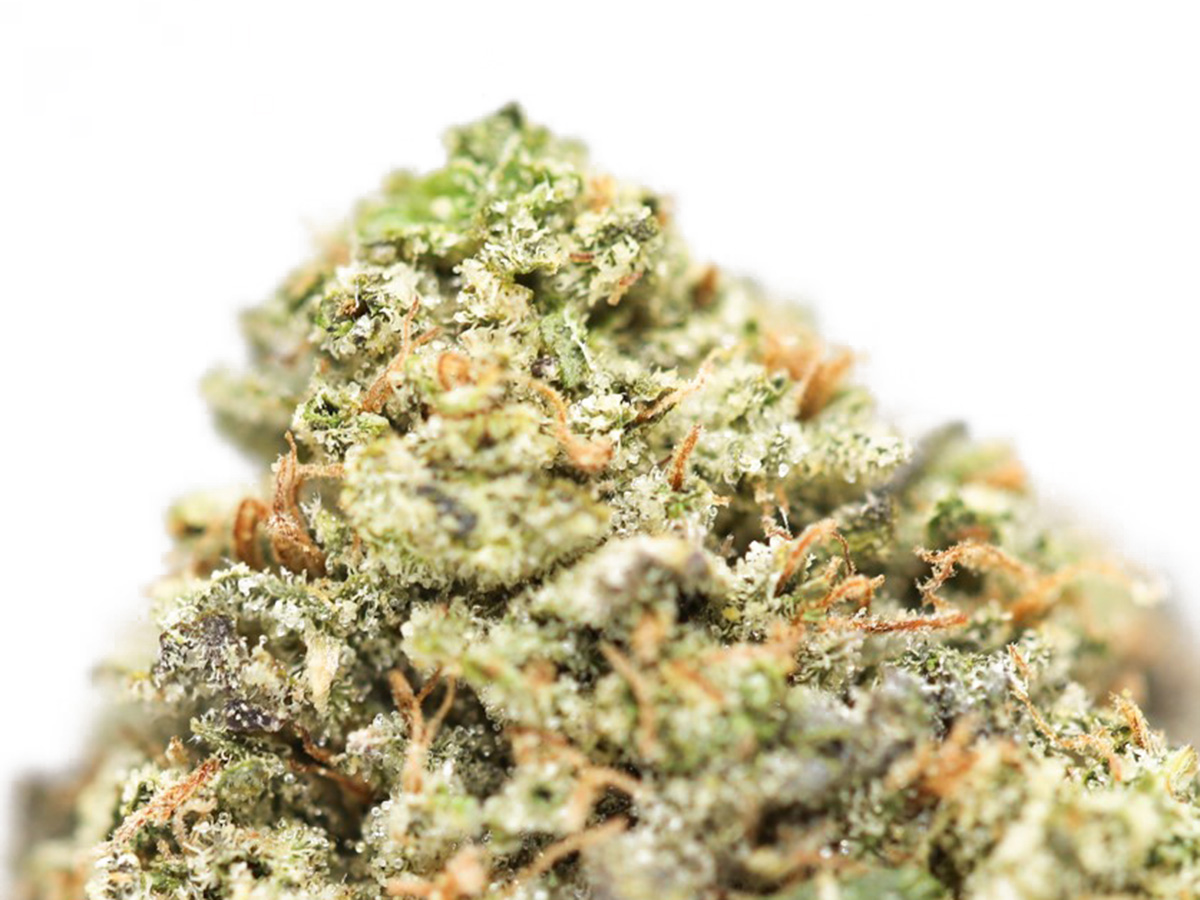 91 chemdawg close up 1.jpg 91 chemdawg close up 1.jpg