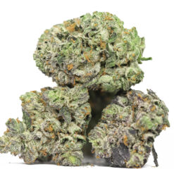 AA BUBBA S GIFT RESTOCK.jpg