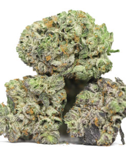 AA BUBBA S GIFT RESTOCK.jpg