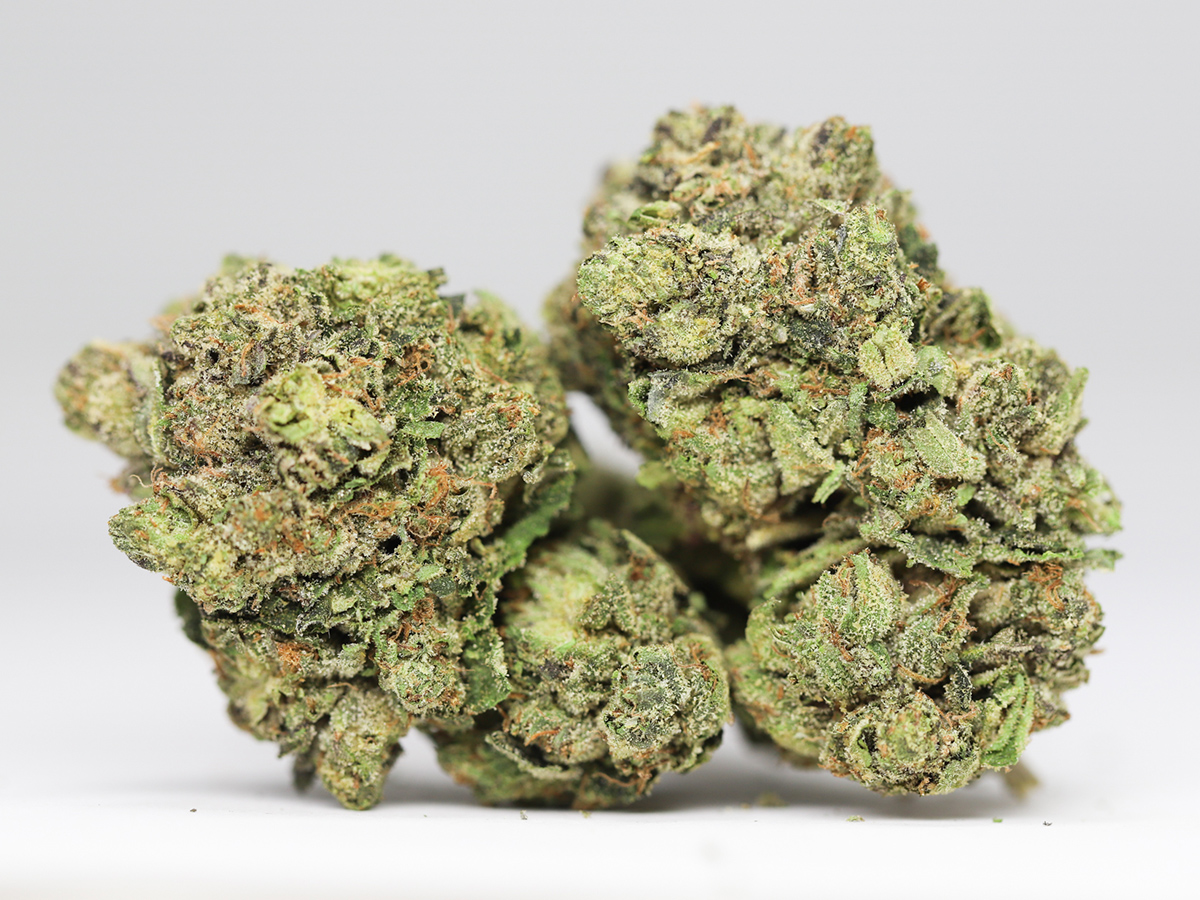 AA KING KUSH RESTOCK.jpg AA KING KUSH RESTOCK.jpg