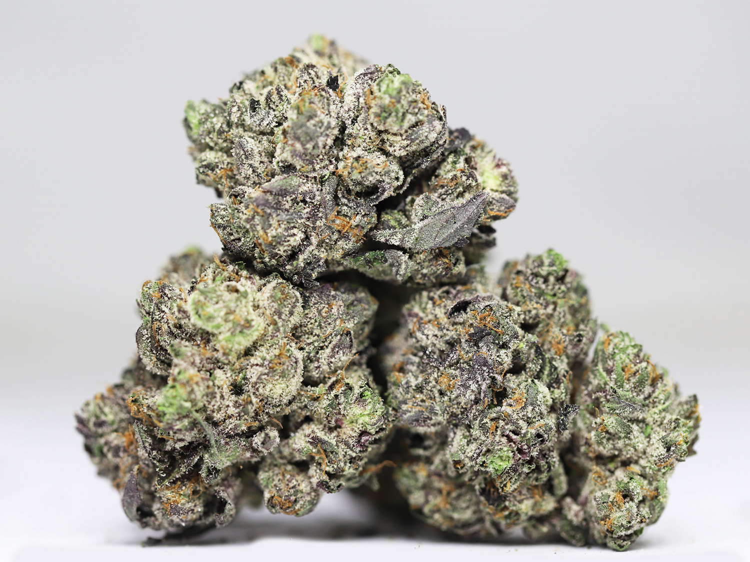 AA MK ULTRA RESTOCK.jpg AA MK ULTRA RESTOCK.jpg