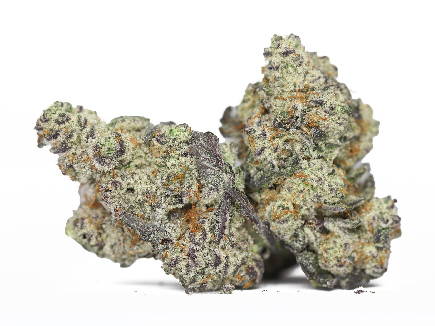 AA PURPLE DREAM RESTOCK.jpg AA PURPLE DREAM RESTOCK.jpg