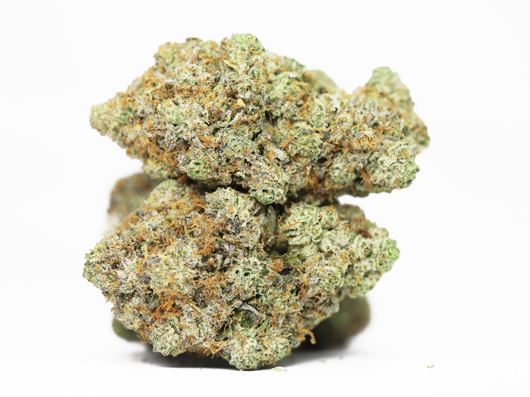 AAA BLUE RHINO RESTOCK.jpg AAA BLUE RHINO RESTOCK.jpg