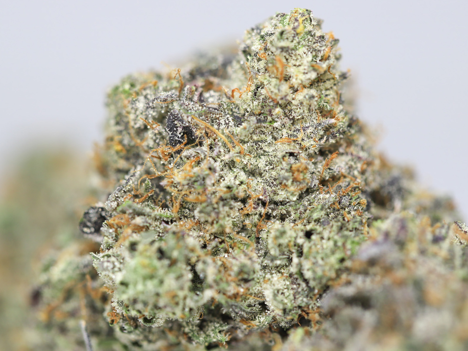 AAA DEATH STAR CLOSEUP.jpg AAA DEATH STAR CLOSEUP.jpg