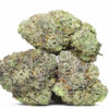 Girl Scout Cookies #2 AAA 1 AAA GIRL SCOUT COOKIES 2 RESTOCK.jpg