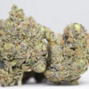 Godzilla AAA 1 AAA GODZILLA RESTOCK.jpg