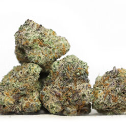 AAA MAC 1 small bud photo.jpg