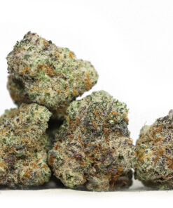 AAA MAC 1 small bud photo.jpg