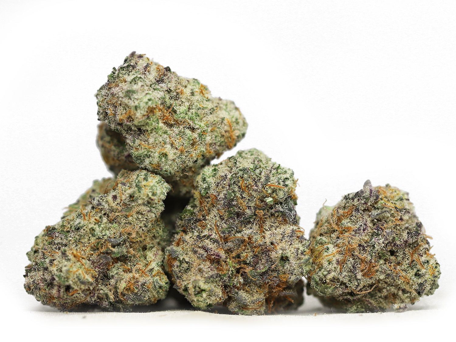 AAA MAC 1 small bud photo.jpg AAA MAC 1 small bud photo.jpg
