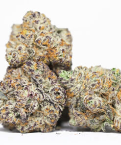 AAA MIMOSA RESTOCK.jpg