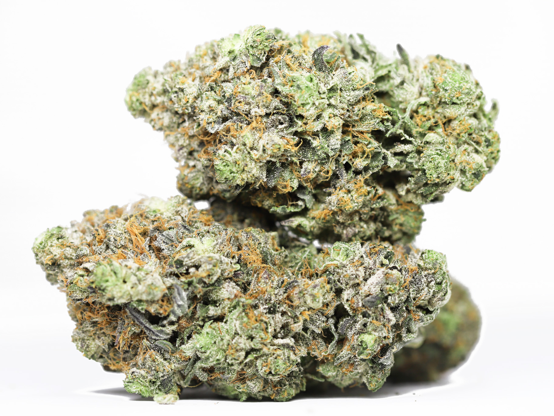 AAA SKYWALKER OG RESTOCK.jpg AAA SKYWALKER OG RESTOCK.jpg