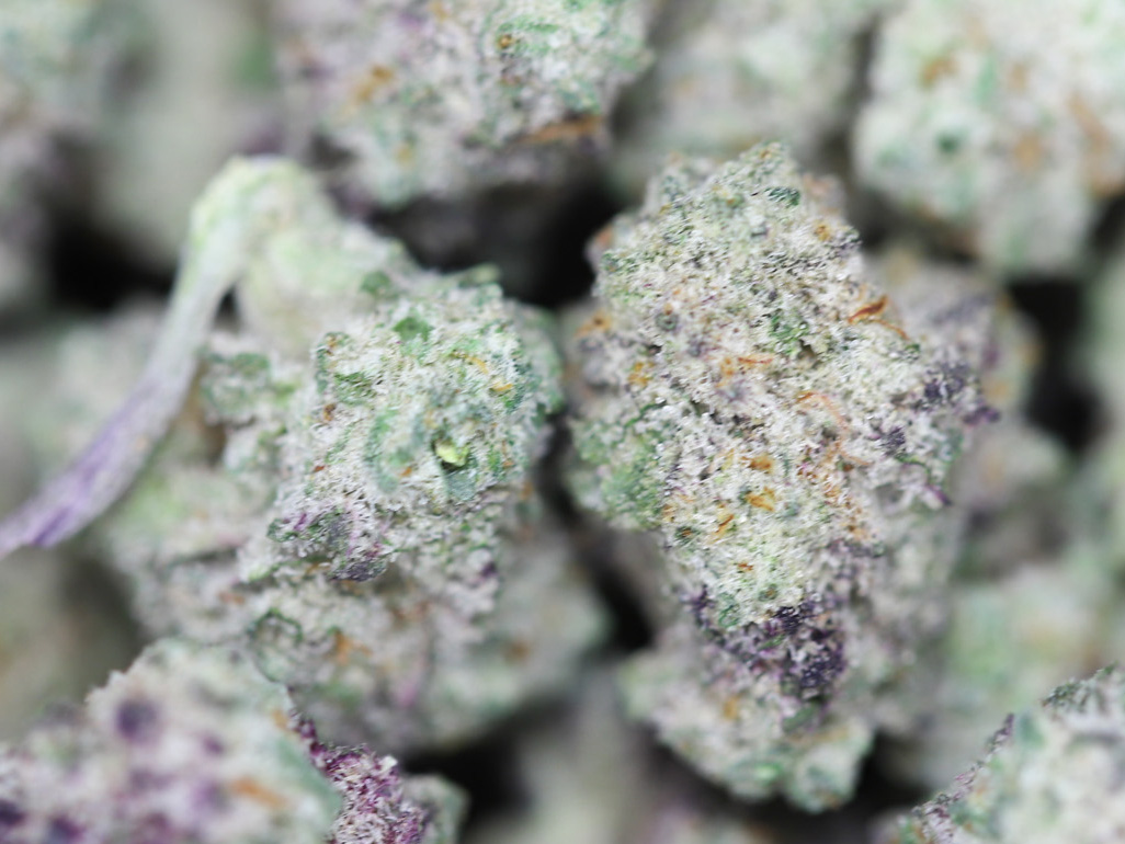AAA SMALL BUDS PURPLE MAC CLOSEUP.jpg AAA SMALL BUDS PURPLE MAC CLOSEUP.jpg