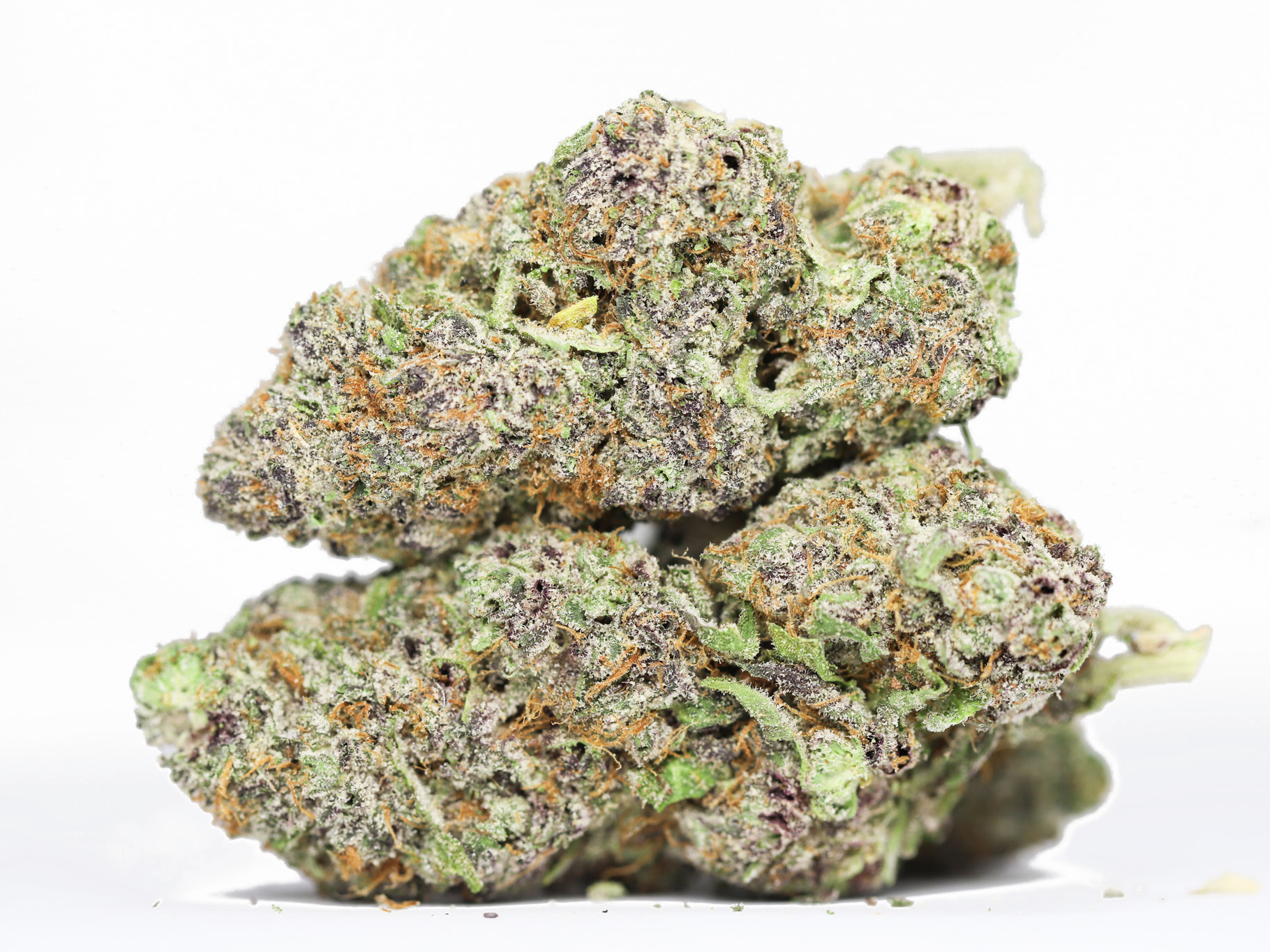 AAA TROPIC THUNDER RESTOCK.jpg AAA TROPIC THUNDER RESTOCK.jpg