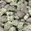 AAA+ Small Buds - Love Potion #1 1 AAA small buds love potion.jpg