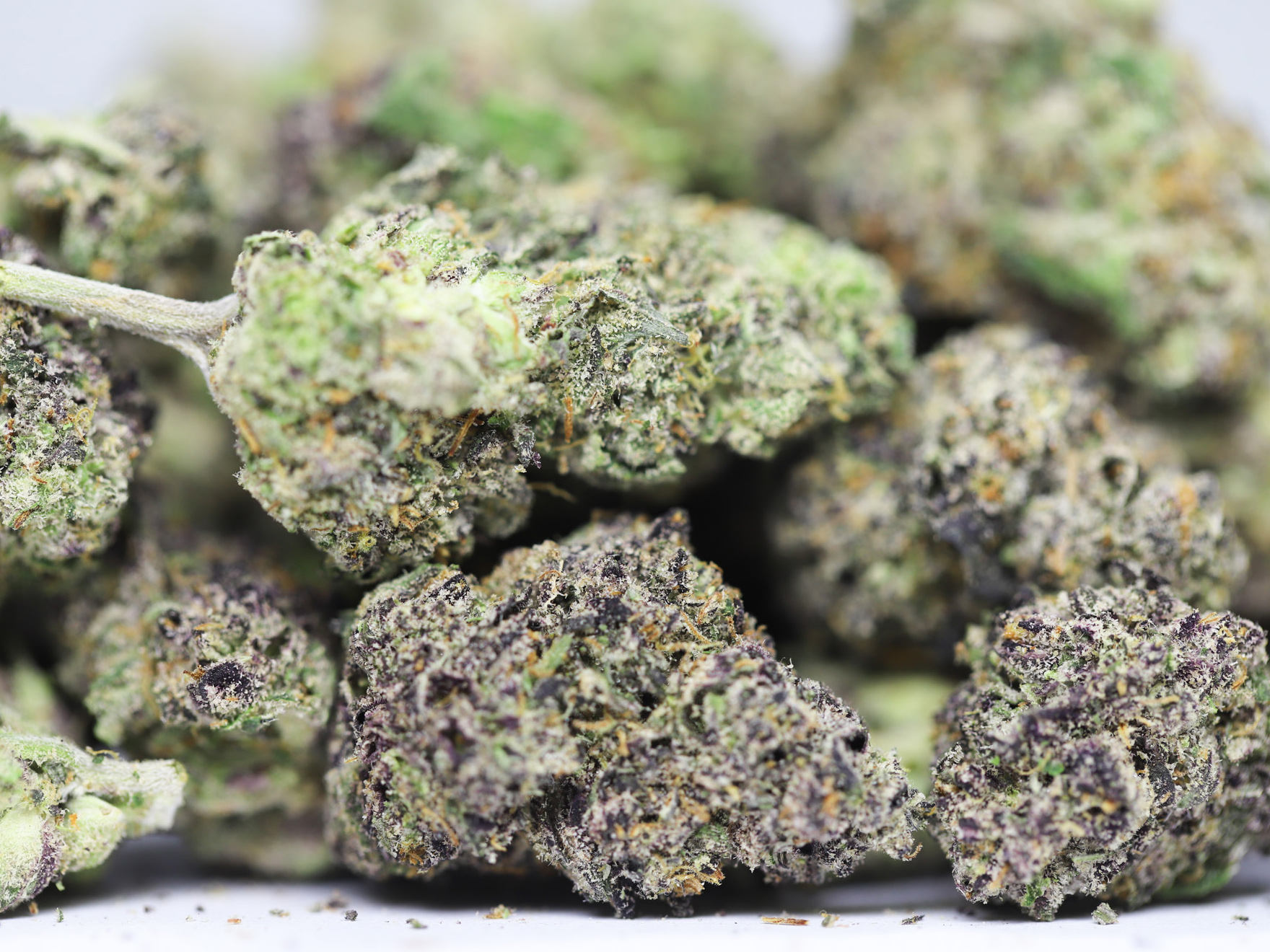 AAA small buds love potion close up.jpg AAA small buds love potion close up.jpg