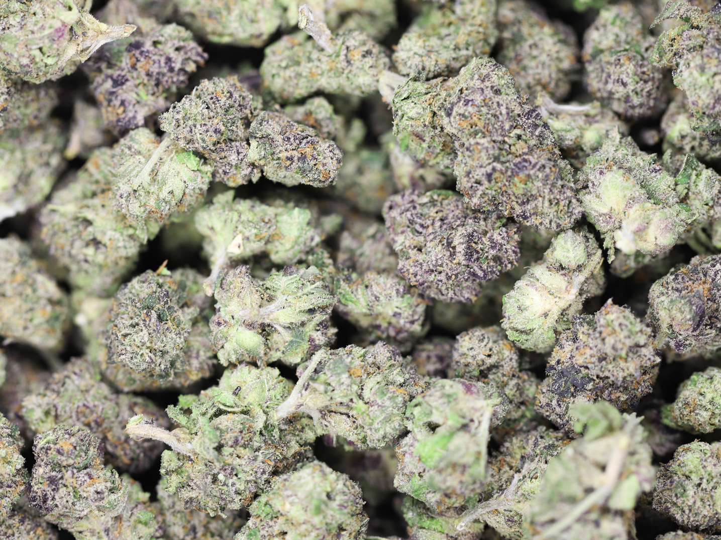 AAA small buds love potion.jpg AAA small buds love potion.jpg
