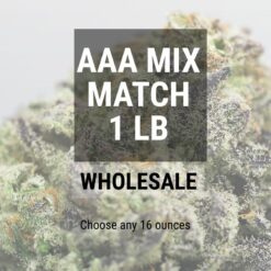 AAA1LB.jpg