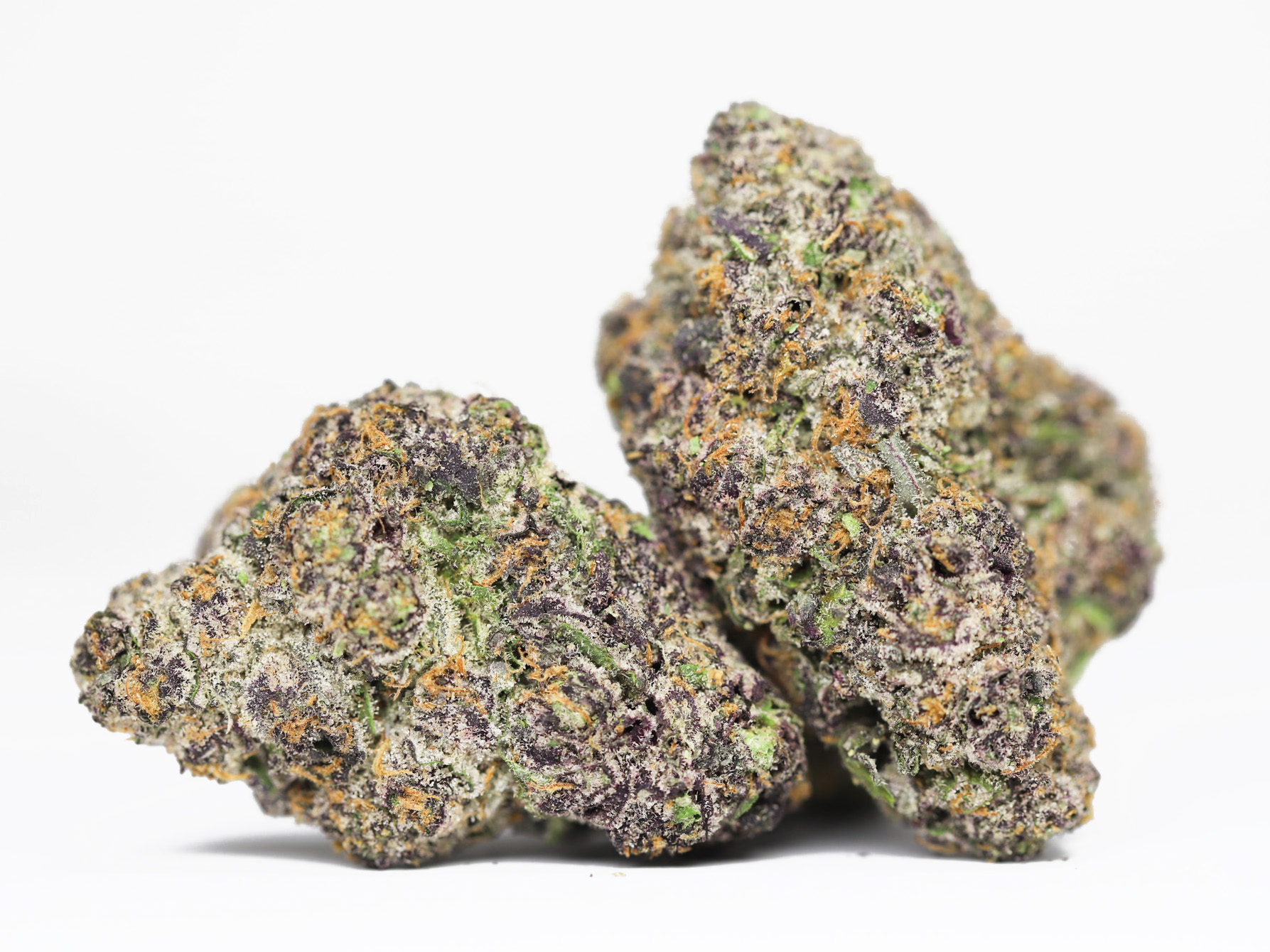 AAAA GELATO RUNTZ RESTOCK.jpg AAAA GELATO RUNTZ RESTOCK.jpg