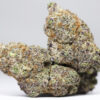 Sugar Plum AAAA 2 AAAA SUGAR PLUM RESTOCK.jpg