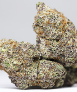 AAAA SUGAR PLUM RESTOCK.jpg