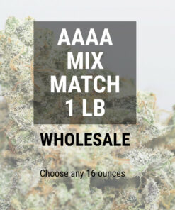 AAAA1LB.jpg