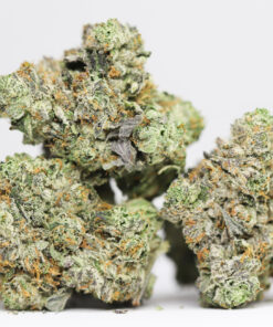 ABOMINABLE SNOWMAN AAA RESTOCK 5.jpg