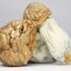 AMAZONIAN SHROOMS RESTOCK.jpg