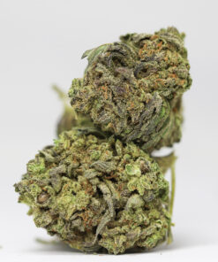 AMNESIA HAZE AA RESTOCK.jpg