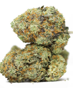 APPLE PIE AAA RESTOCK.jpg