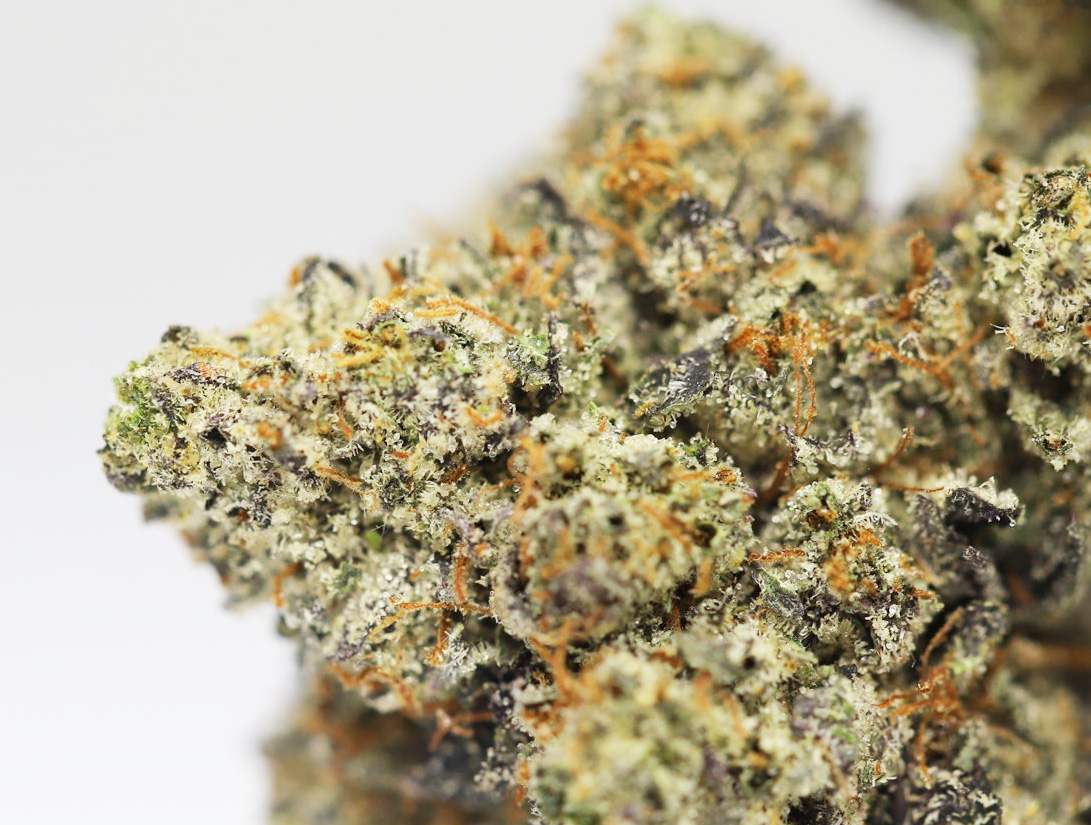 Animal Cookies AAA close up.jpg Animal Cookies AAA close up.jpg