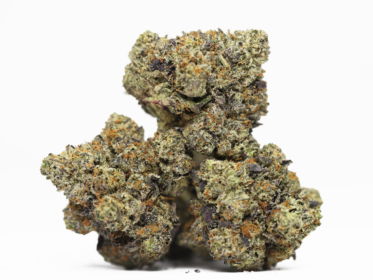 Animal Cookies AAA restock.jpg Animal Cookies AAA restock.jpg