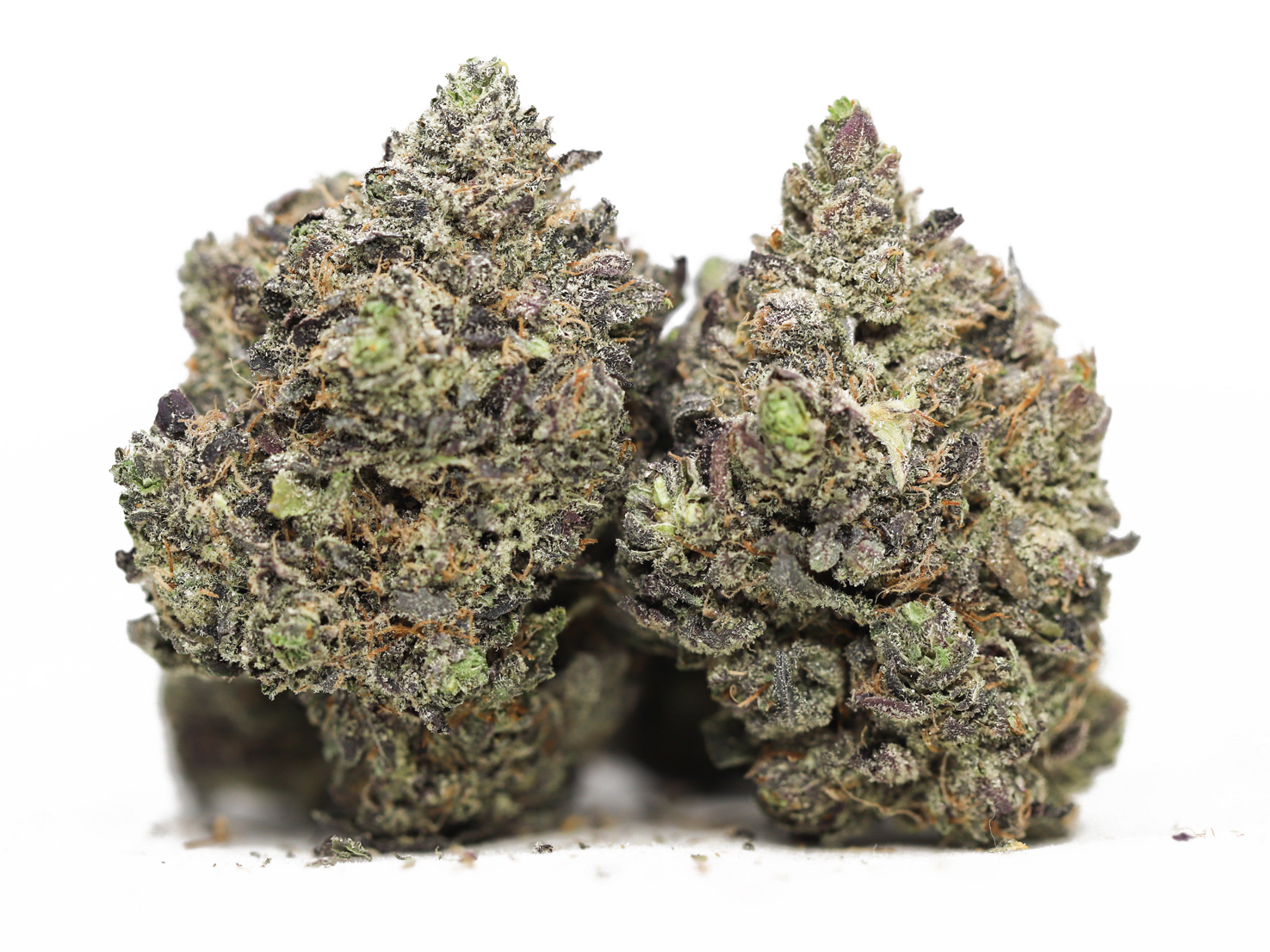 Ayahuasca Purple AA.jpg Ayahuasca Purple AA.jpg