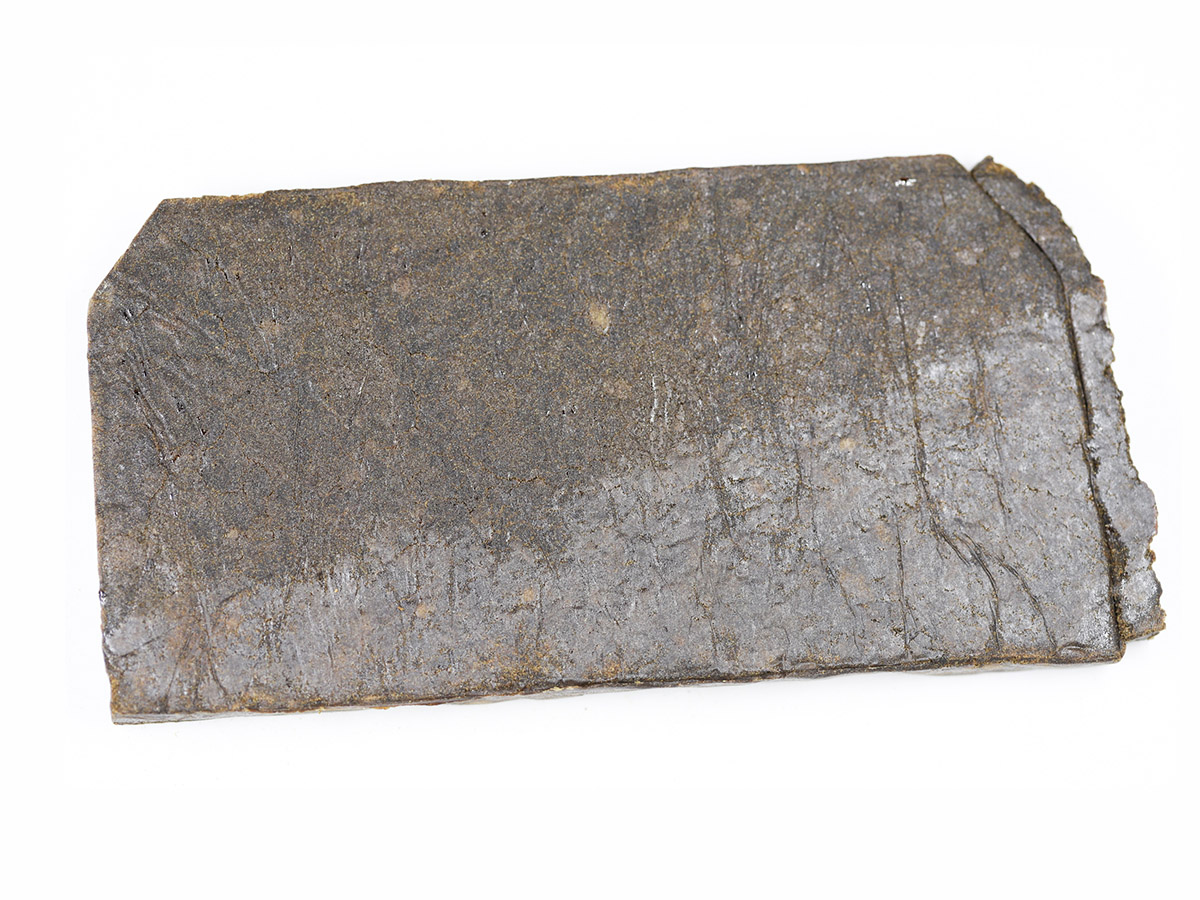 BC CRAFT FARMS DANK SINATRA HASH 2.jpg BC CRAFT FARMS DANK SINATRA HASH 2.jpg