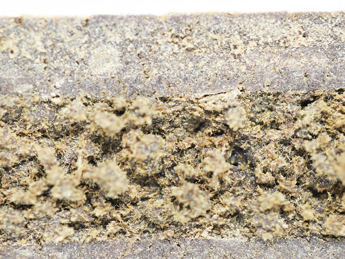 BC CRAFT FARMS DANK SINATRA HASH 4.jpg BC CRAFT FARMS DANK SINATRA HASH 4.jpg