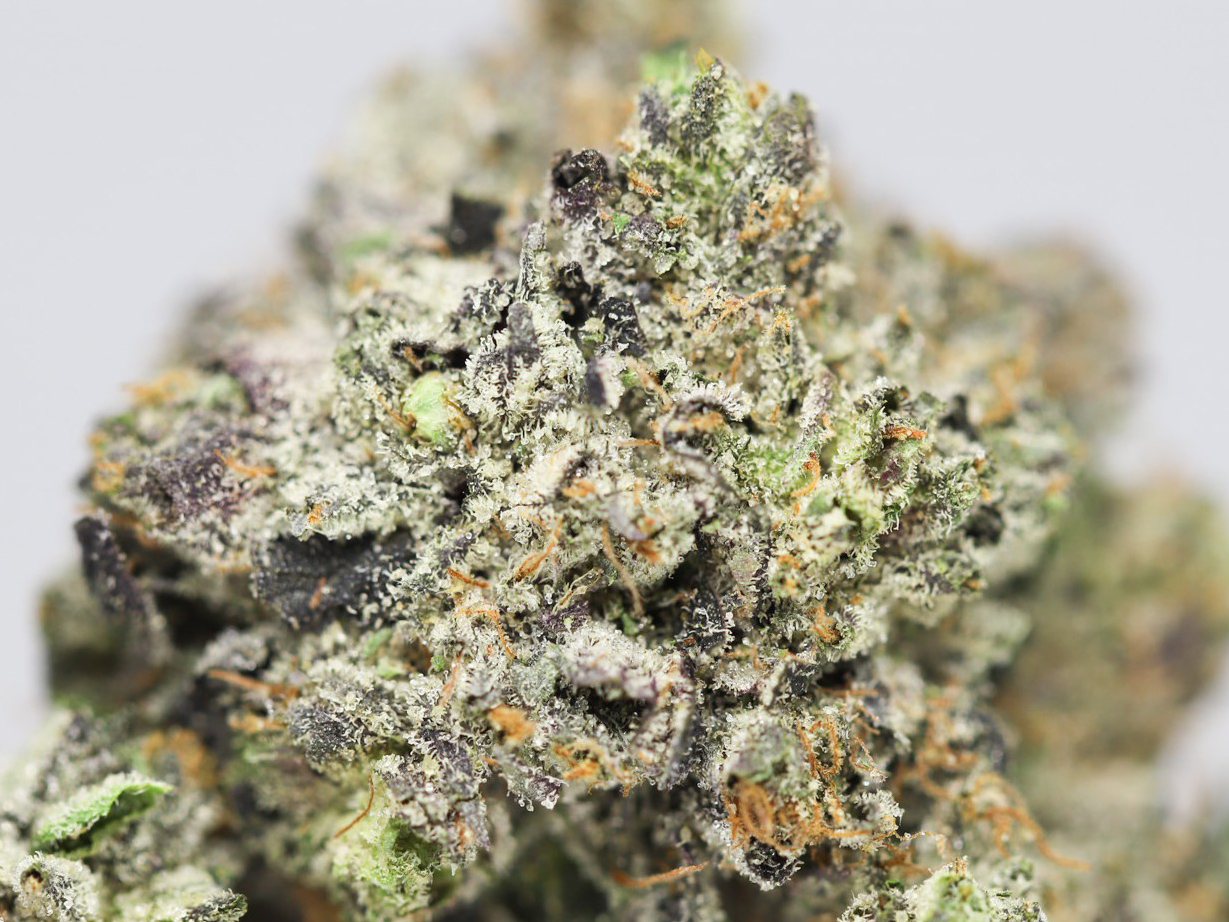 BC KUSH AA CLOSE UP 5.jpg BC KUSH AA CLOSE UP 5.jpg