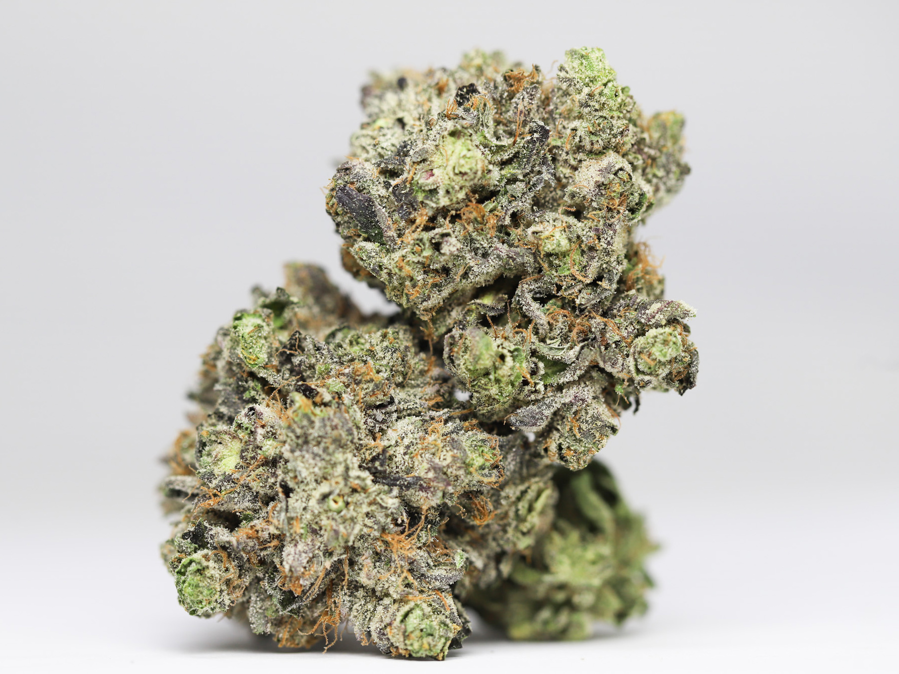 BC KUSH AA RESTOCK 6.jpg BC KUSH AA RESTOCK 6.jpg