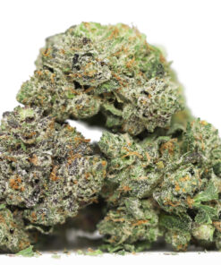 BC ROCKSTAR AA RESTOCK 1.jpg