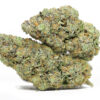 Berry Jane AAA 2 BERRY JANE AAA NEW PHOTO.jpg
