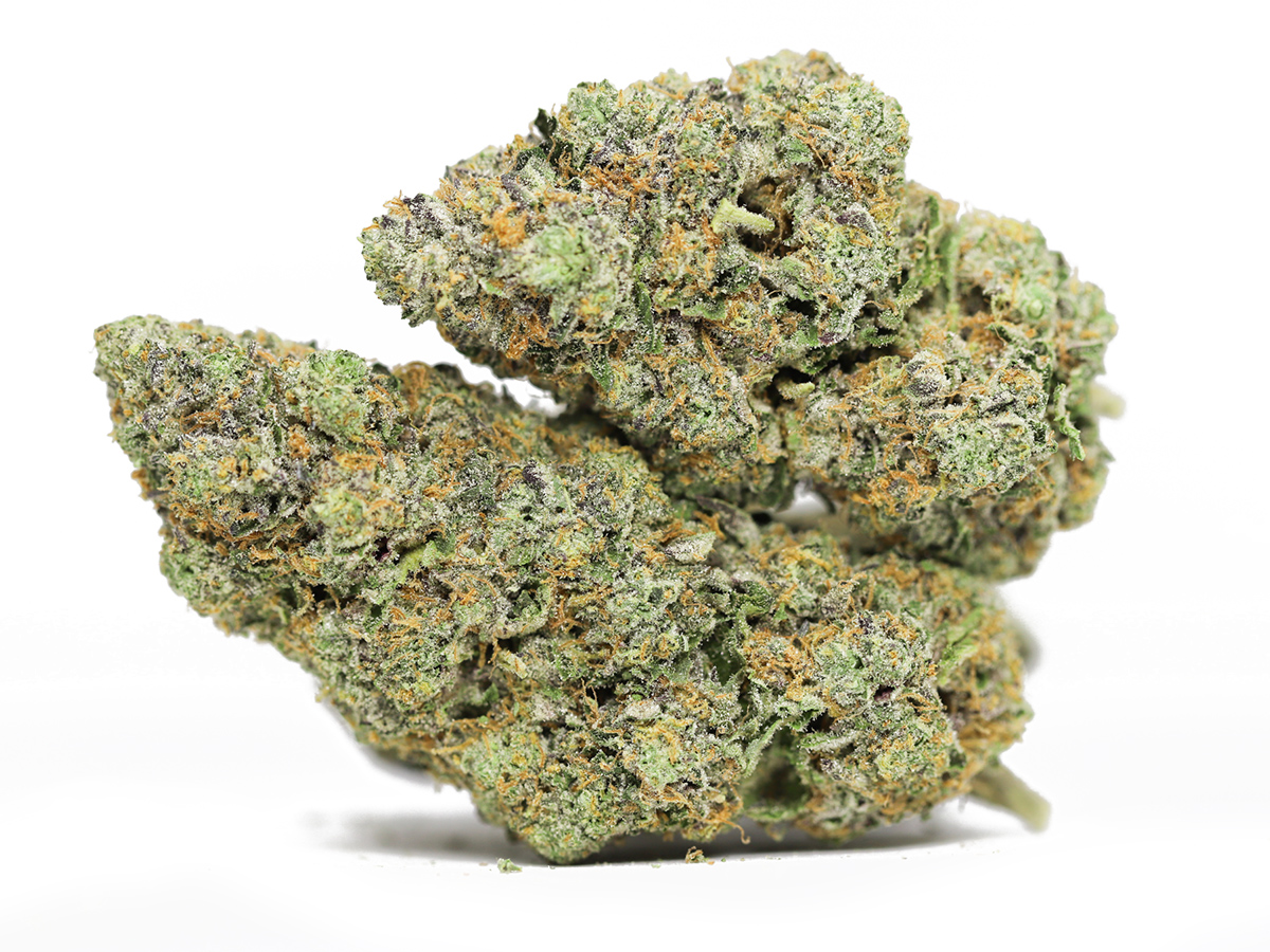 BERRY JANE AAA NEW PHOTO.jpg BERRY JANE AAA NEW PHOTO.jpg