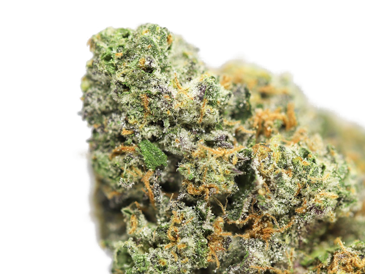 BERRY JANE CLOSE UP 1.jpg BERRY JANE CLOSE UP 1.jpg