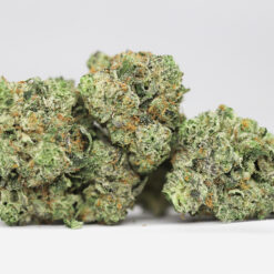 BIG SMOOTH AA RESTOCK 1.jpg
