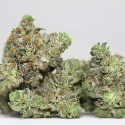 BLACK BUBBA AAA RESTOCK 1.jpg
