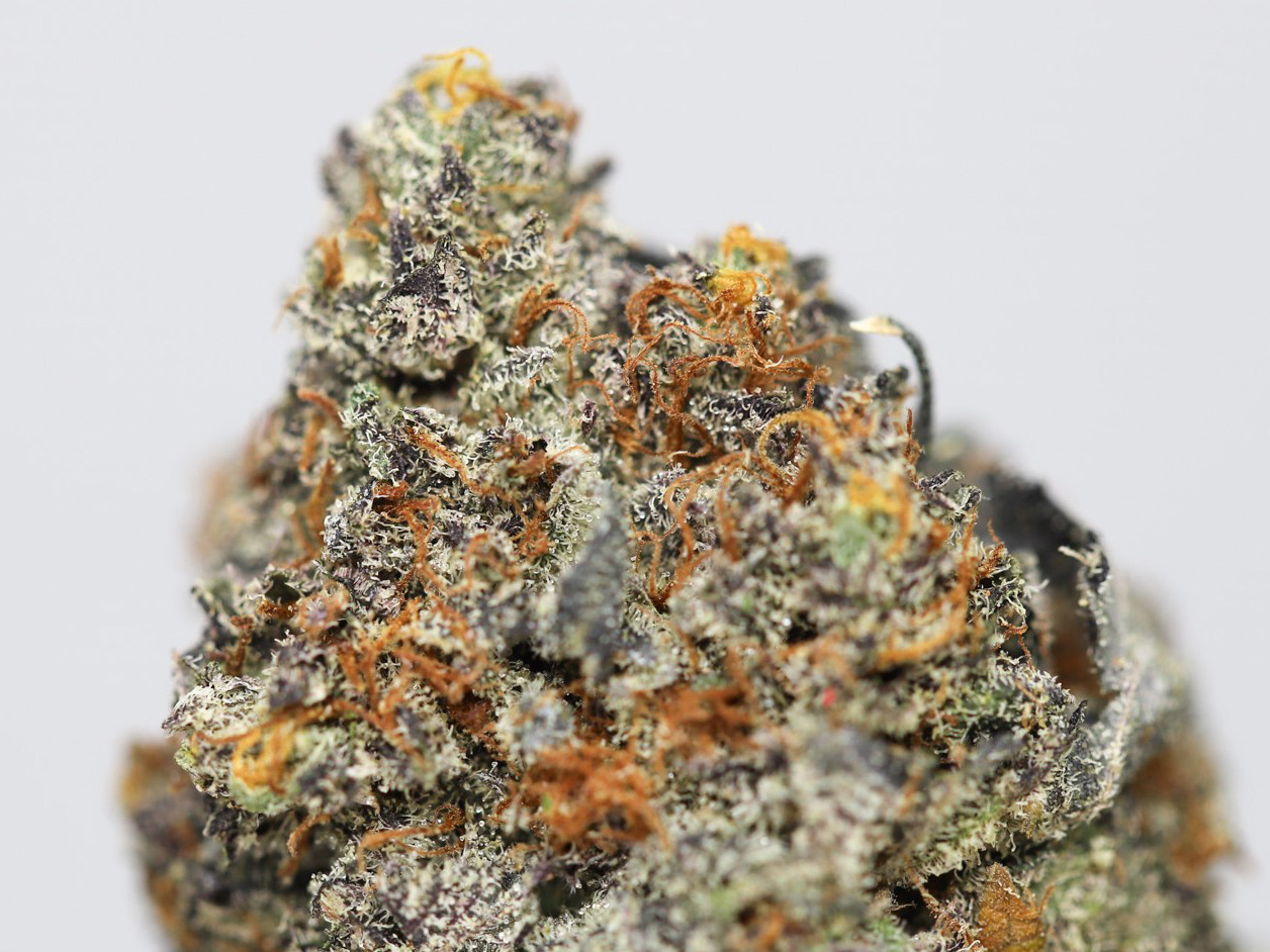 BLACK DIAMOND AA CLOSE UP 1.jpg BLACK DIAMOND AA CLOSE UP 1.jpg