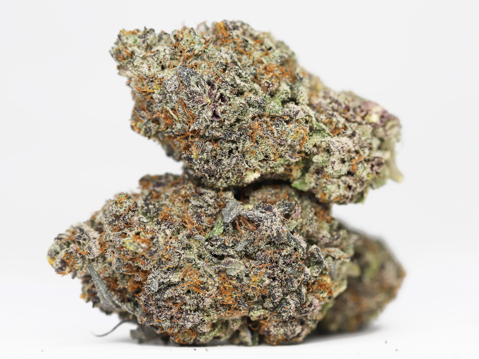 BLACK DIAMOND AA RESTOCK 1.jpg BLACK DIAMOND AA RESTOCK 1.jpg