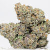 Black Truffle AA 2 BLACK TRUFFLE AA RESTOCK.jpg
