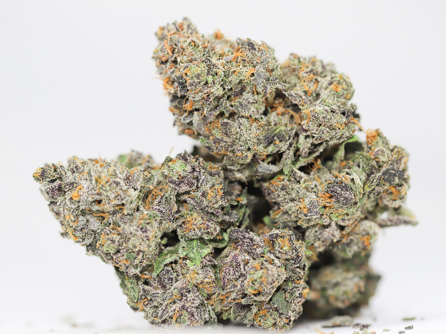 BLACK TRUFFLE AA RESTOCK.jpg BLACK TRUFFLE AA RESTOCK.jpg