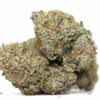 Black Widow AAA 2 BLACK WIDOW AAA RESTOCK 1.jpg