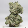 Blackberry AA 2 BLACKBERRY AA RESTOCK 5.jpg