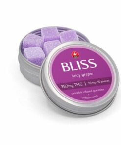 BLISS Infused Gummies JUICY GRAPE 250MG e1641607976733 800x600 1.jpg