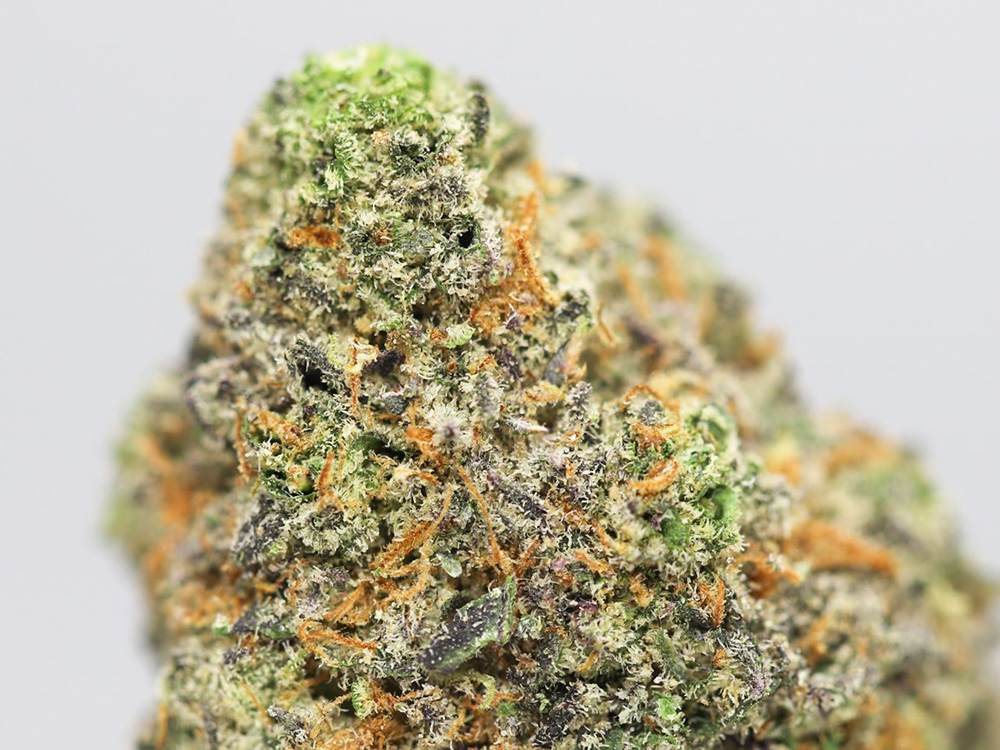 BLUE CINEX AA CLOSE UP 3.jpg BLUE CINEX AA CLOSE UP 3.jpg